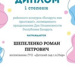 превью записи