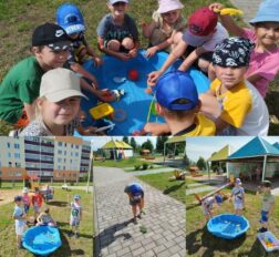 превью записи