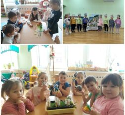 превью записи