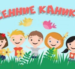 превью записи