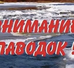 превью записи