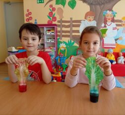 превью записи