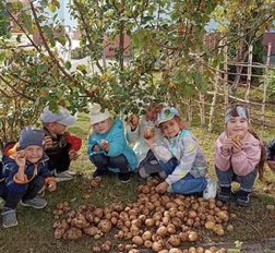 превью записи